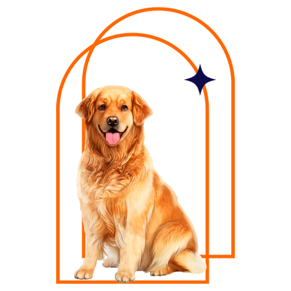 Adult Dogs