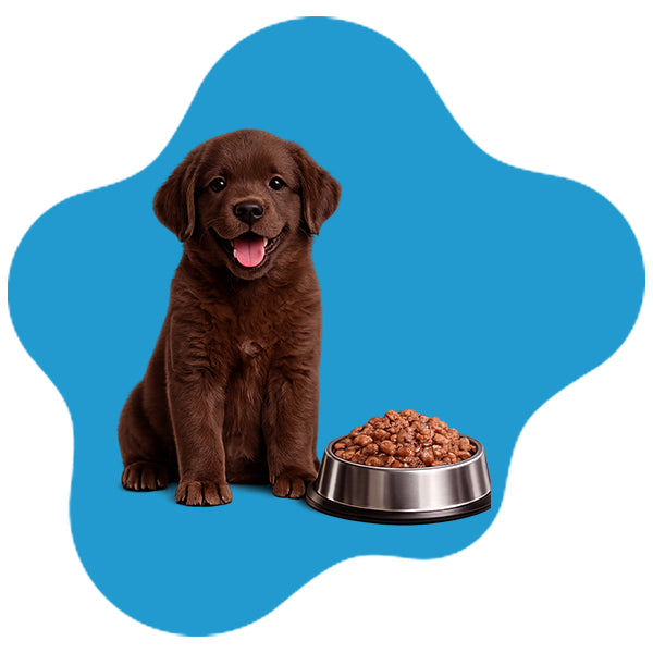 Puppy Wet Food