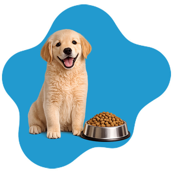 Puppy Dry food